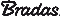 RWPBC11 brada logo