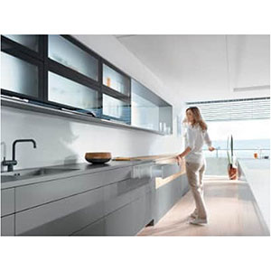 BLUMOTION