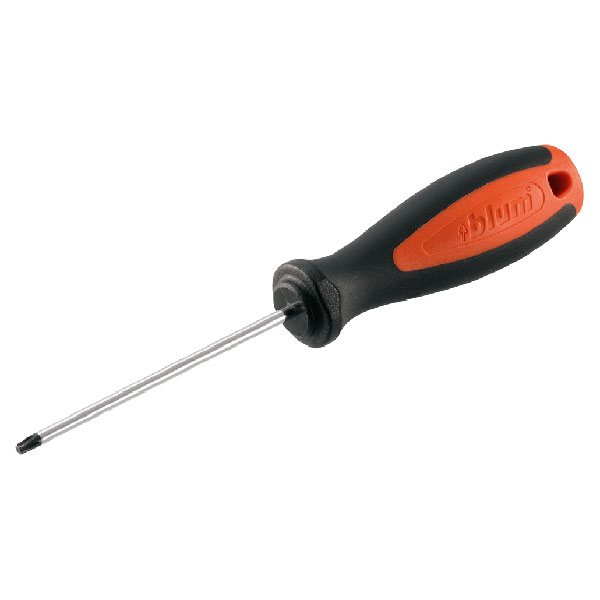 V SR DREH TORX P 1 PB BAU 1